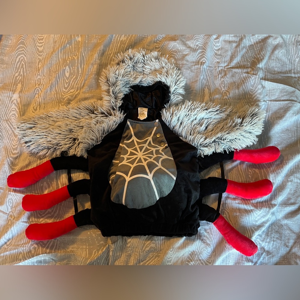 Spider Halloween Costume